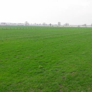 Bild: Stall in  Vettweiß