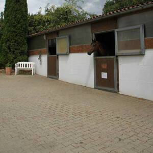 Bild: Stall in  Schwieberdingen