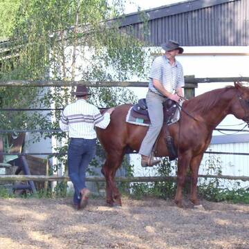 Bild: Service in  Schieder-Schwalenberg
