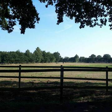 Bild: Weide in  Nostorf