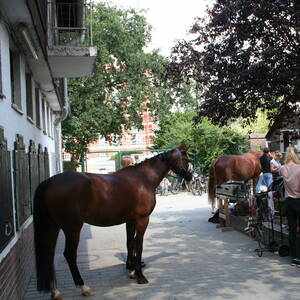 Innenhof mit Putzplätzen und Teich