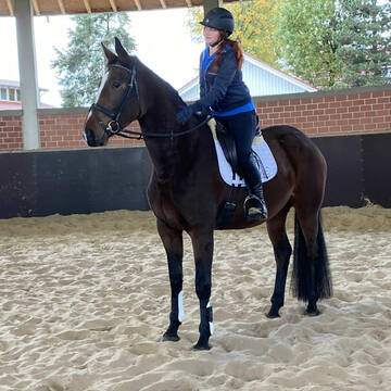 Bild: Stall in  Bawinkel