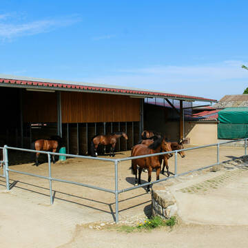 Bild: Stall in  Filderstadt