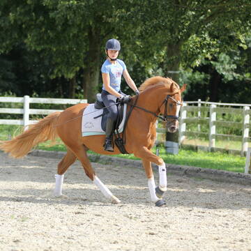 Bild: Stall in  Ehrenburg