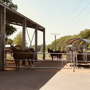 Bild: Stall in  Saarwellingen