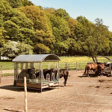 Bild: Stall in  Saarwellingen