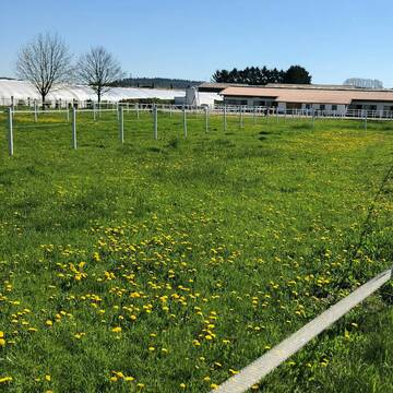 Bild: Stall in  Burg-Gräfenrode
