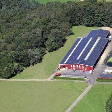 Bild: Weide in  Hennef (Sieg)