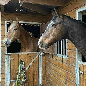 Bild: Stall in  Garbsen