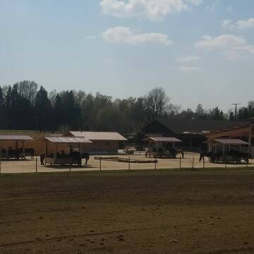 Bild: Stall in  Poing