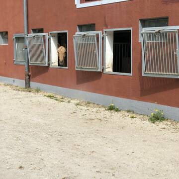 Bild: Stall in  Erlenstegen