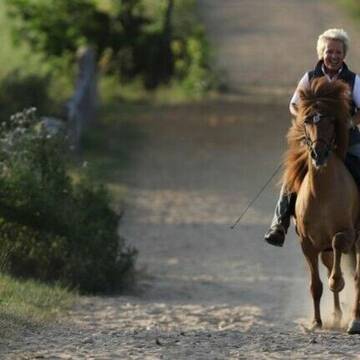 Bild: Service in  Farven