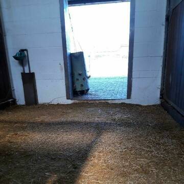 Bild: Stall in  Ronnenberg