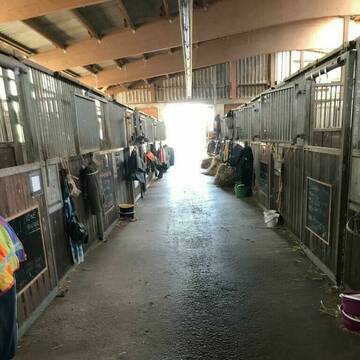 Bild: Stall in  Ronnenberg