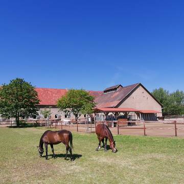 Bild: Stall in  Groß-Gerau