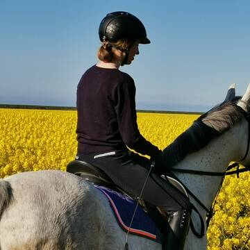 Bild: Stall in  Dornum