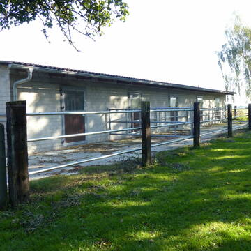 Bild: Stall in  Dornum