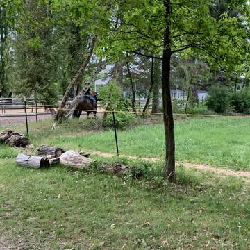 Bild: Stall in  Erlenstegen