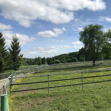 Grünland Weidepaddocks mit Sicherheitszaun