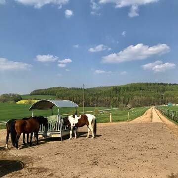 ein Recht auf ein eigenes Leben