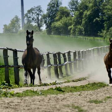 alle Bedürfnisse können ausgelebt werden