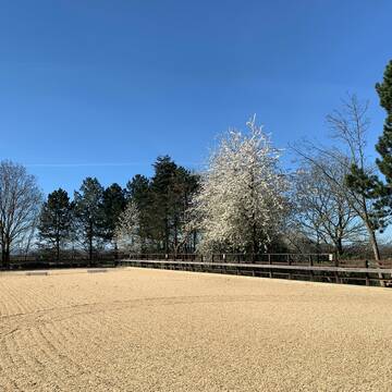 Bild: Stall in  Fröndenberg/Ruhr