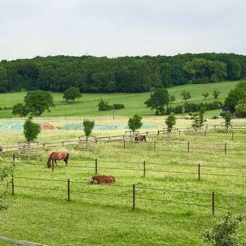 Bild: Stall in  Fröndenberg/Ruhr