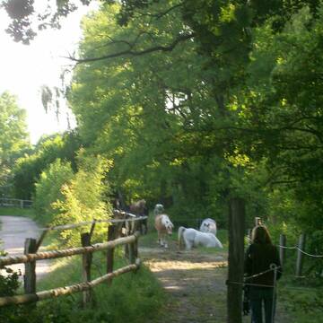 Durst wird gelöscht