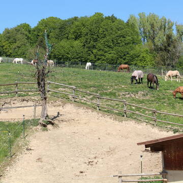 Bild: Stall in  Taubenbach