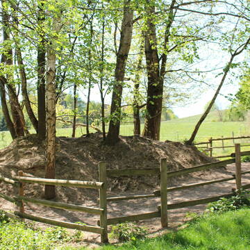 Bild: Stall in  Taubenbach