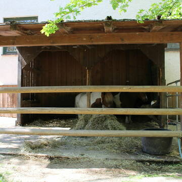 Bild: Stall in  Taubenbach