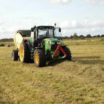 Bild: Futter & Einstreu in  Sophienhamm