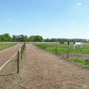 Bild: Stall in  Hatten