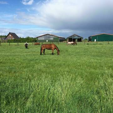 Bild: Stall in  Korschenbroich
