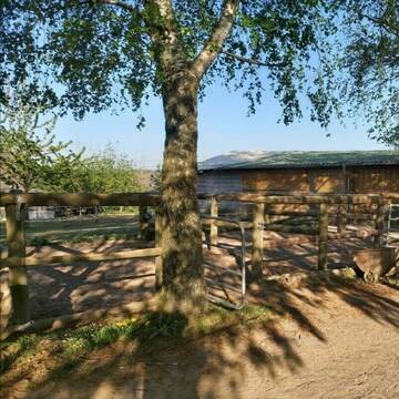 Bild: Stall in  Hennef (Sieg)