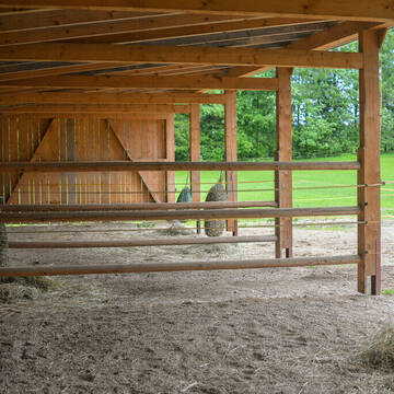 Bild: Stall in  Feldmann