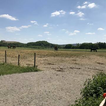 Bild: Stall in  Mettmann