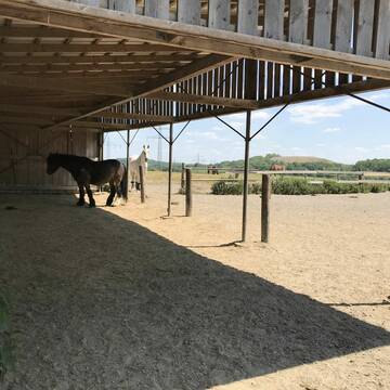 Bild: Stall in  Mettmann