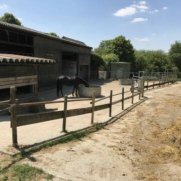 Bild: Stall in  Mettmann