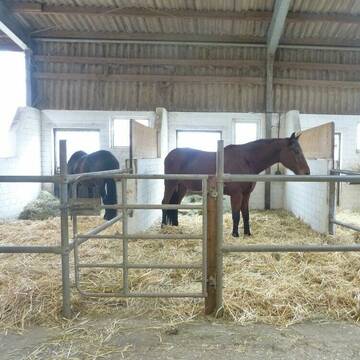 Bild: Stall in  Eitorf