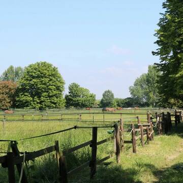 Bild: Stall in  Sarstedt