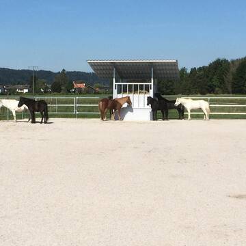 Bild: Stall in  Geretsried