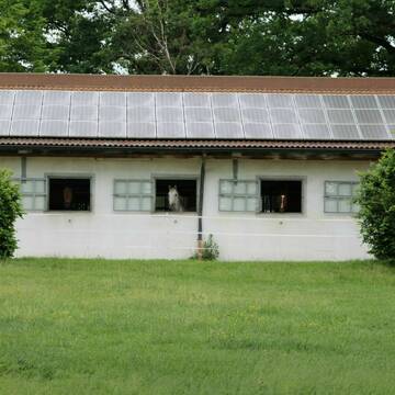 Bild: Stall in  Kosbach