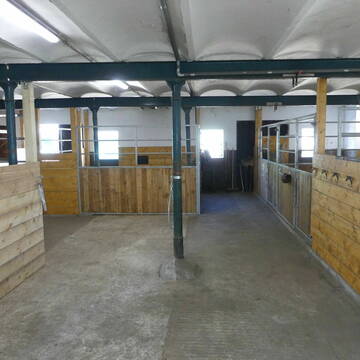 großzügige Innenboxen im Neubau 4 x 4 m