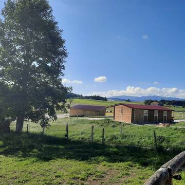 Bild: Stall in  Steingaden