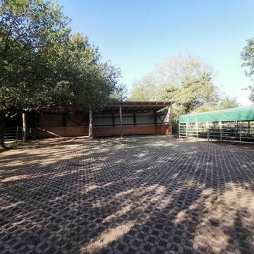 Bild: Stall in  Bescheid