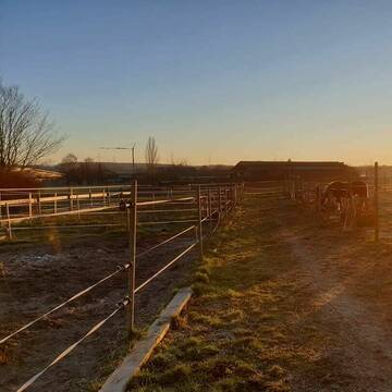 Bild: Stall in  Hochdorf