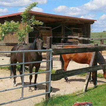 Bild: Stall in  Mitteldorf