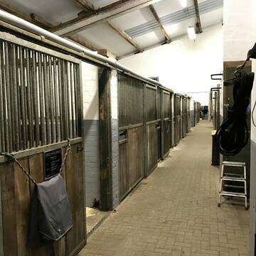 Bild: Stall in  Holm