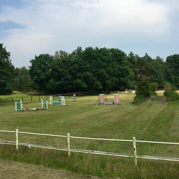 Bild: Stall in  Holm